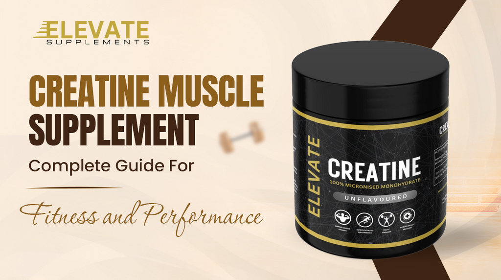 Creatine Muscle Supplement: Complete Guide For Fitness and Performance