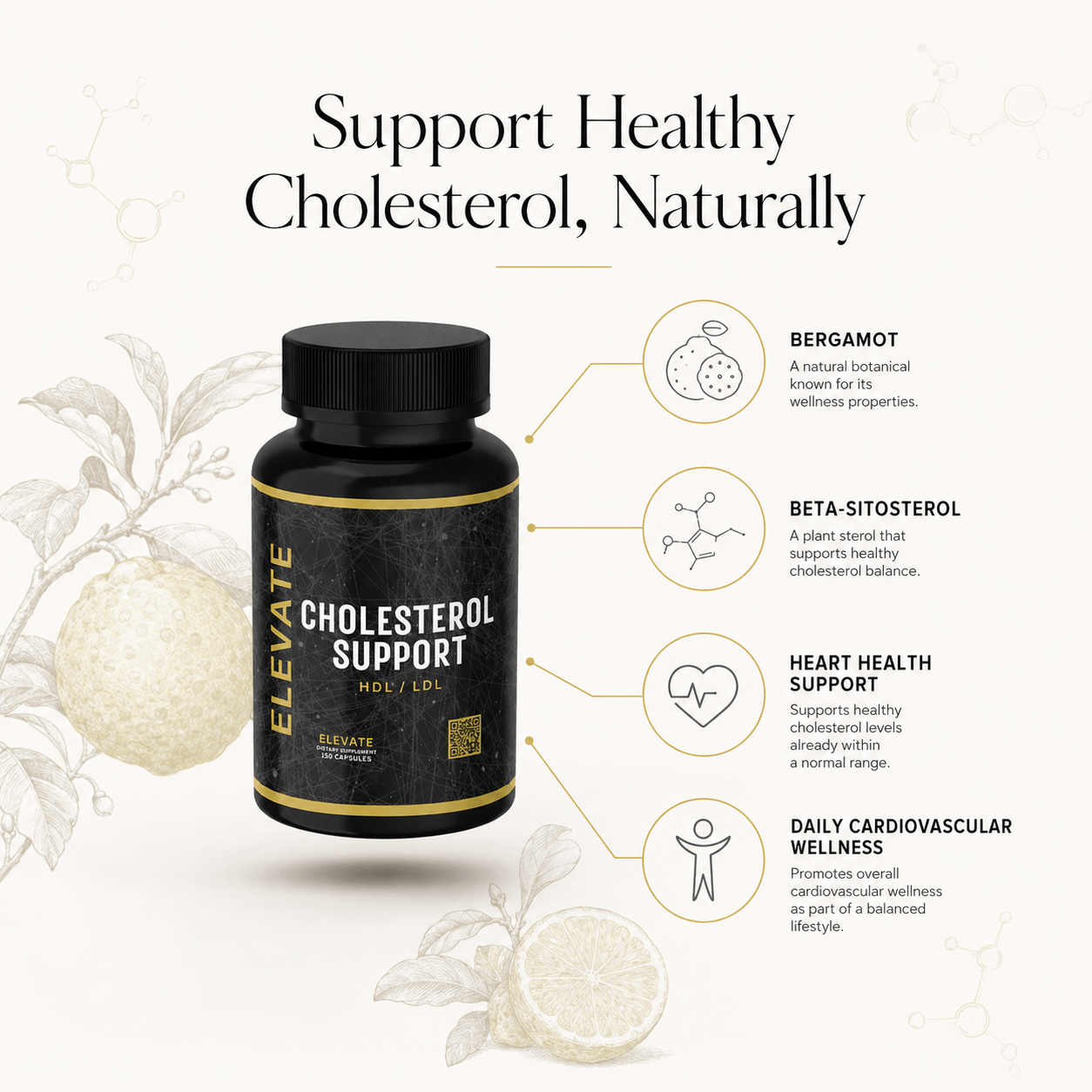 Elevate Cholesterol Support | Bergamot & Beta-Sitosterol