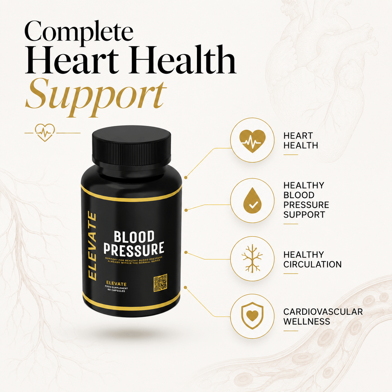 Elevate Blood Pressure | Heart & Circulation Support