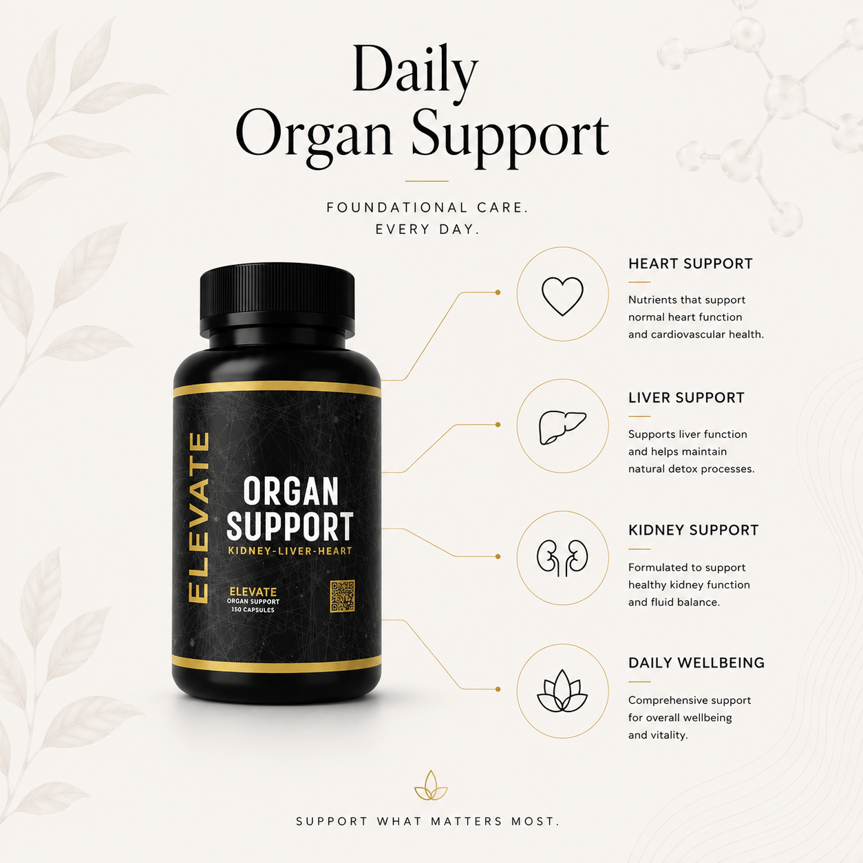 Elevate Organ Support | Multi-Organ Health Formula