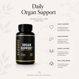 Elevate Supplements Elevate Organ Support bottle showing multi-organ health formula capsules on a white background.