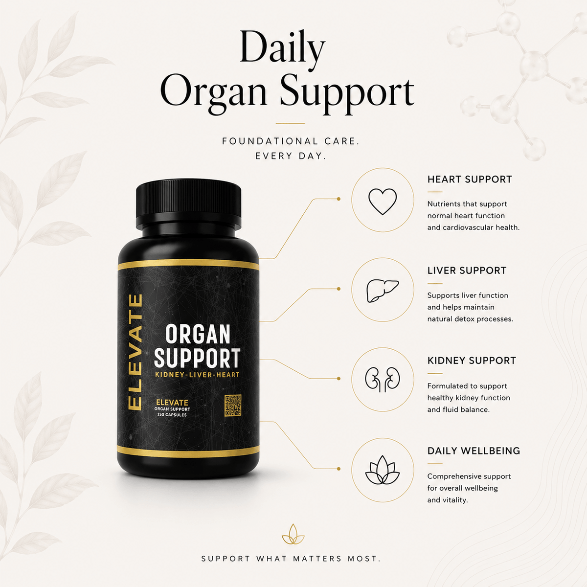 Elevate Supplements Elevate Organ Support bottle showing multi-organ health formula capsules on a white background.