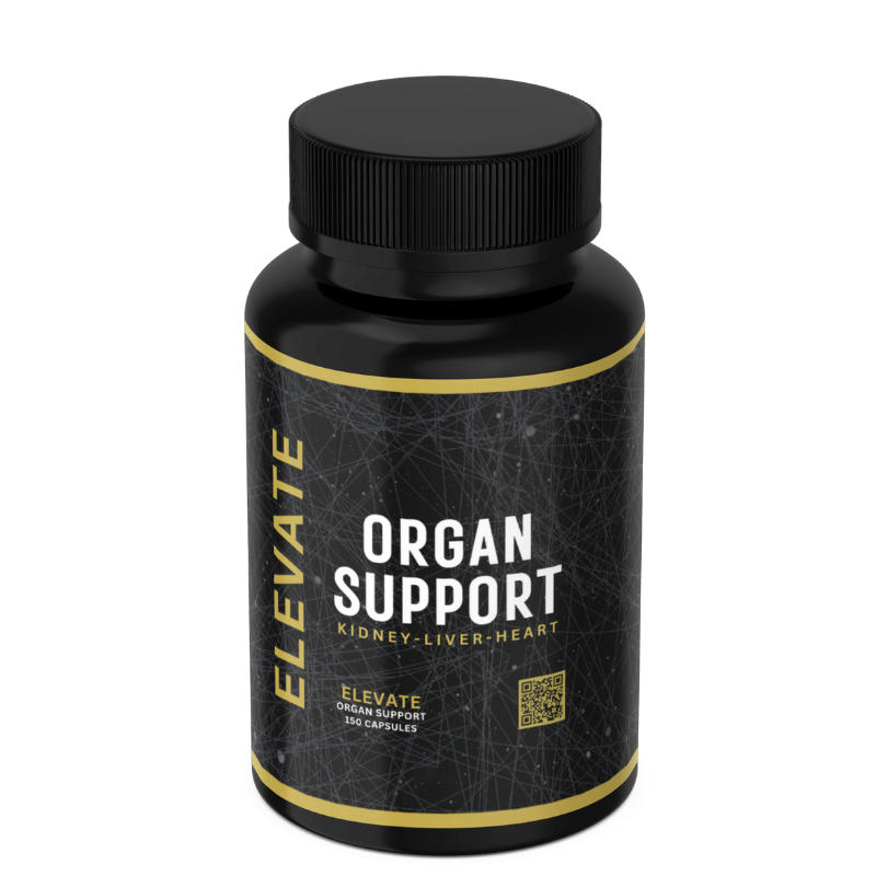 Elevate Supplements Elevate Organ Support bottle with supplement capsules, designed for multi-organ health and wellness.