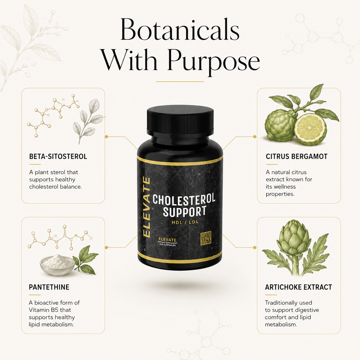 Elevate Cholesterol Support supplement by ElevateSupplementsNI with bergamot and beta-sitosterol capsules in a bottle.