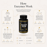 Elevate Digestive Enzyme Complex supplement bottle showing label with multi-enzyme formula for digestive support.