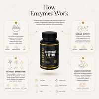 Elevate Digestive Enzyme Complex supplement bottle showing label with multi-enzyme formula for digestive support.