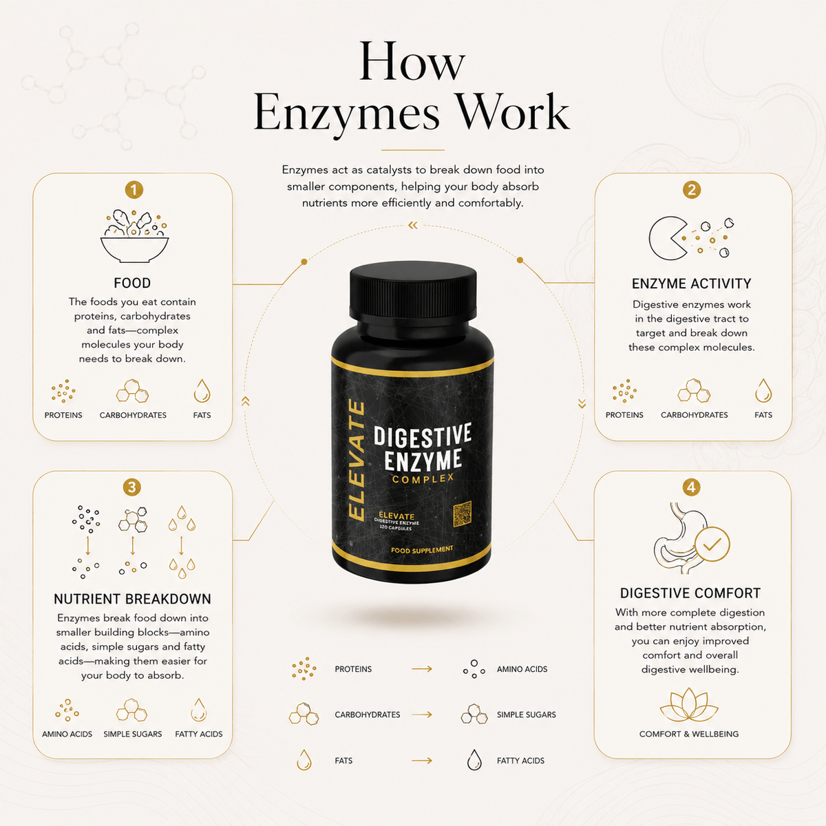 Elevate Digestive Enzyme Complex supplement bottle showing label with multi-enzyme formula for digestive support.
