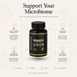 Two bottles of ElevateProbiotic Complex by ElevateSupplementsNI featuring multi-strain probiotics capsules on a white background