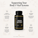 Elevate Supplements Elevate Organ Support bottle showing label with multi-organ health formula and supplement capsules.