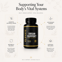 Elevate Supplements Elevate Organ Support bottle showing label with multi-organ health formula and supplement capsules.