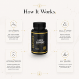 Elevate Supplements liver support supplement bottle with NAC, TUDCA, and Milk Thistle capsules on a white background