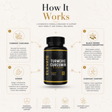 Elevate Turmeric Curcumin and Ginger supplement bottle with black pepper extract from ElevateSupplementsNI, showing the label and capsules