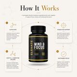 Elevate Mind & Focus supplement bottle from ElevateSupplementsNI with capsules and label featuring product details.