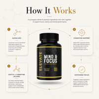 Elevate Mind & Focus supplement bottle from ElevateSupplementsNI with capsules and label featuring product details.