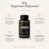 Elevate Magnesium Bisglycinate supplement bottle from ElevateSupplementsNI featuring label with product details and capsules inside