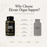 Elevate Supplements Multi-Organ Health Formula bottle with label, featuring supplement details and branding on a white background.