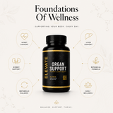 Elevate Supplements Elevate Organ Support bottle with colorful label, showcasing multi-organ health formula for overall wellness.