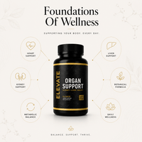 Elevate Supplements Elevate Organ Support bottle with colorful label, showcasing multi-organ health formula for overall wellness.