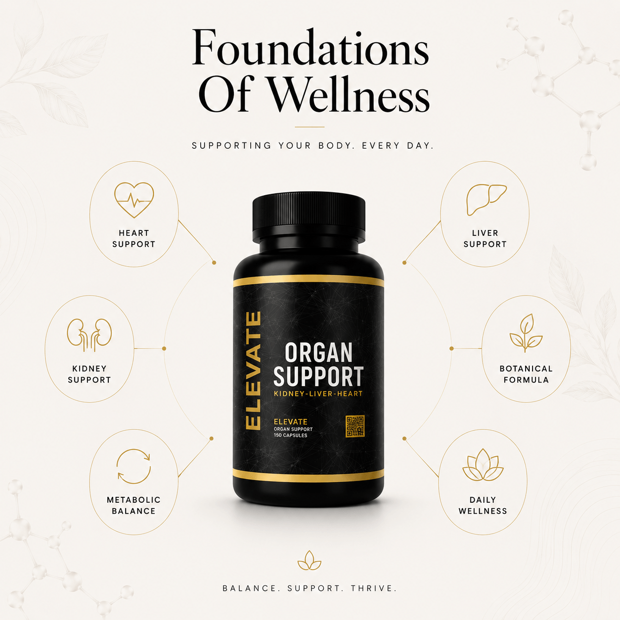 Elevate Supplements Elevate Organ Support bottle with colorful label, showcasing multi-organ health formula for overall wellness.