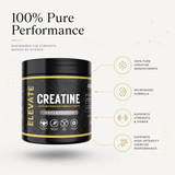 Container of Elevate Supplements NI 100% pure micronized creatine monohydrate powder, 500g, shown in a clear plastic jar.