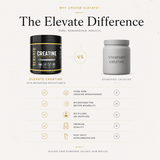 Container of Elevate Creatine Monohydrate by ElevateSupplementsNI, showing a 500g jar of pure micronised creatine powder.