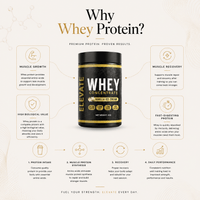 Elevate Whey Protein concentrate in vanilla ice cream flavor, 1kg jar, high protein supplement from ElevateSupplementsNI