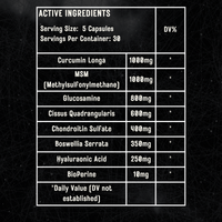 Elevate Joint Support Capsules with glucosamine, chondroitin, and MSM showing supplement bottles and ingredients on a white background.
